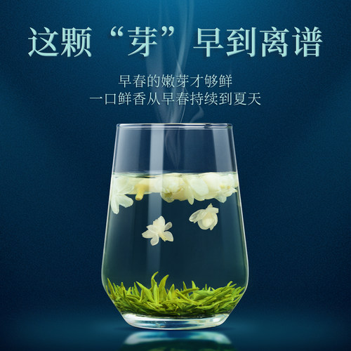 臻尖飘雪茉莉花茶2026新茶茶叶自己喝官方旗舰店正品特级茉莉飘雪 - 图0