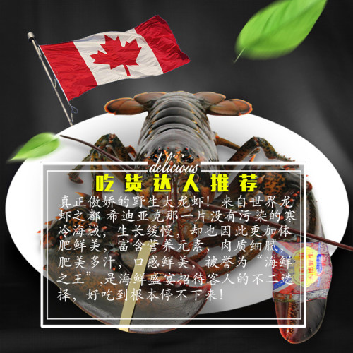 成都店同城闪送 鲜活波龙虾1只/份约0.9-1斤可选 波士顿龙虾包活 - 图0
