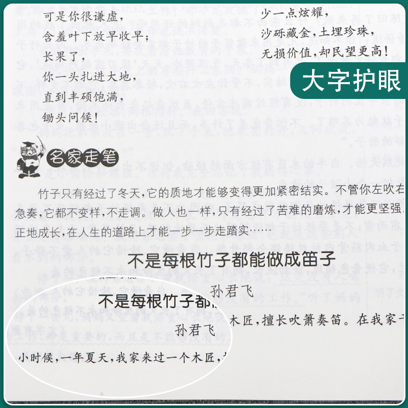 2024年新版小学语文课文同步阅读拓展一二三四五六年级上册人教版春雨教育123456年级RJ版语文教材配套同步阅读拓展基础专项训练-图0