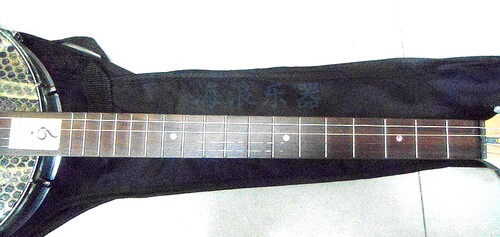 海浪乐器类广东四弦秦琴乐器演奏边助花梨木民族乐器精选蟒皮正品 - 图2