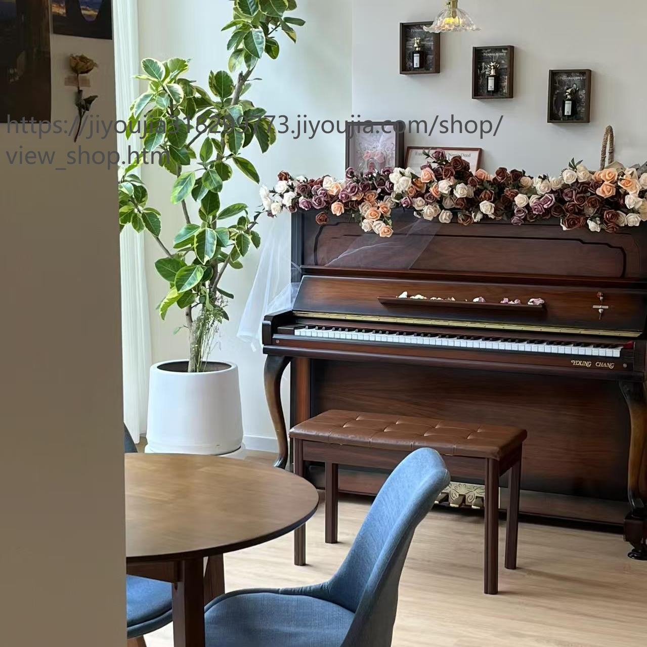 青叶花叶橡皮树大型盆栽黄金榕室内客厅绿植富贵榕花卉植物好养活,淘宝优惠券,粉丝福利购,淘宝优惠卷