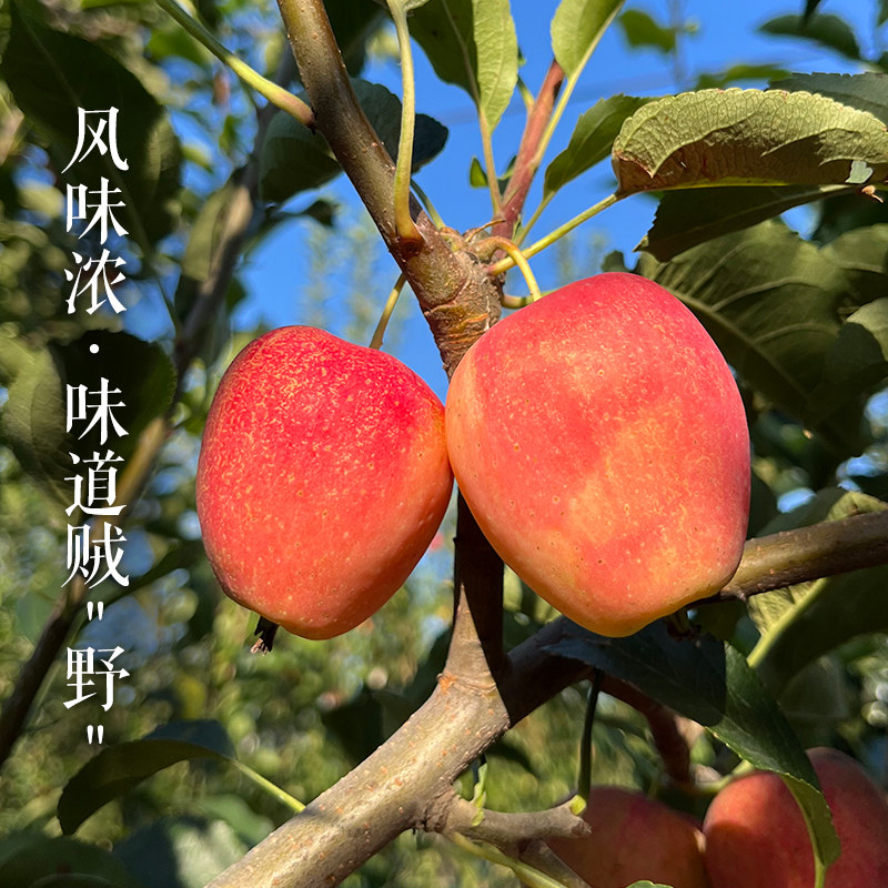图3