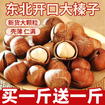 Northeast Fresh Great Hazelnut New Stock Original Taste Opening Large Hazelnut Pregnant Women Casual Snack Nuts Fried Goods Wholesale