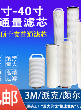40寸大通量滤芯保安过滤器滤芯大流量滤芯电厂化工厂水厂5um滤芯