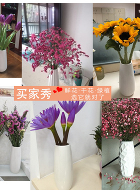 现代陶瓷满天星花瓶小清新水培摆件白色干花插花家居装饰厂家