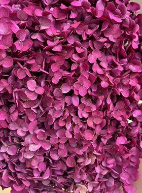 永生花安娜绣球吸色绣球手工家居装饰diy花材摆件干花花束永生花