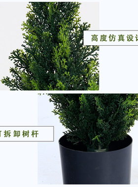 仿真绿植松柏树室内家居落地装饰盆栽酒店商场橱窗造景摆件假植物
