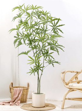 仿真绿植孔雀木轻奢室内客厅仿生花摆件家居落地装饰大型假树盆栽