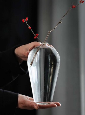 透明玻璃花瓶插花水养梅瓶禅意水晶摆件家居客厅装饰日式水培花器