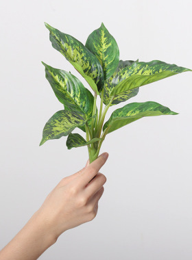 仿真绿植把束万年青彩色花边小植物假花装饰餐桌装饰家居橱窗摆件