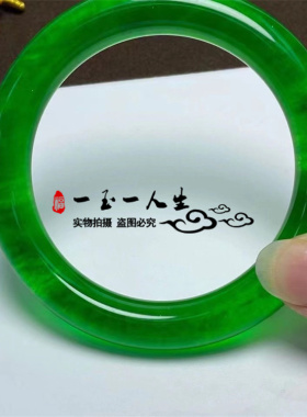 独龙玉冰种满绿女款石英岩玉圆条