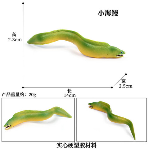 仿真玩具迷你摆件玩偶生物海鳗模型小电鳗儿童海洋动物鱼实心-图0