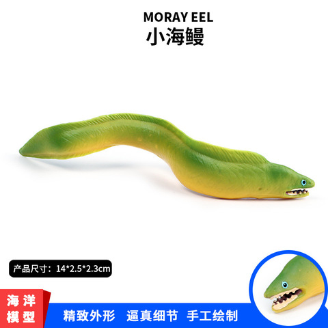 仿真玩具迷你摆件玩偶生物海鳗模型小电鳗儿童海洋动物鱼实心-图2