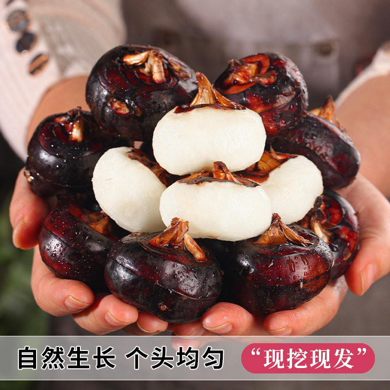 广西新鲜马蹄荸荠5斤水果蔬菜脆甜大果带泥现挖地梨地栗整箱包邮,淘宝优惠券,粉丝福利购,淘宝优惠卷