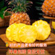 Authentic Hainan Golden Diamond Pineapple Straight Hair from Origin