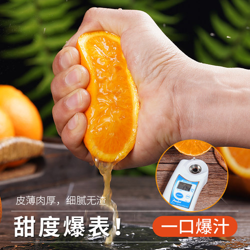 正宗伦晚脐橙春橙秭归10橙子当季新鲜水果整箱斤专果冻甜榨汁用大 - 图0