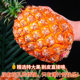 Authentic Hainan Golden Diamond Pineapple Straight Hair from Origin