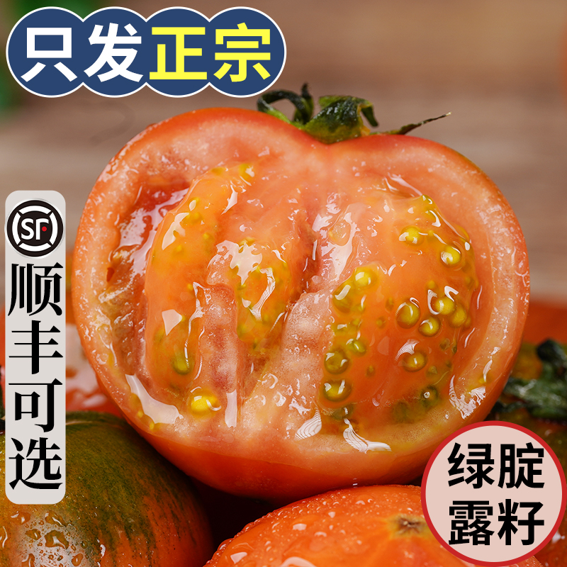 正宗丹东铁皮草莓柿子盘锦碱地即食新鲜自然熟绿腚番茄水果西红柿