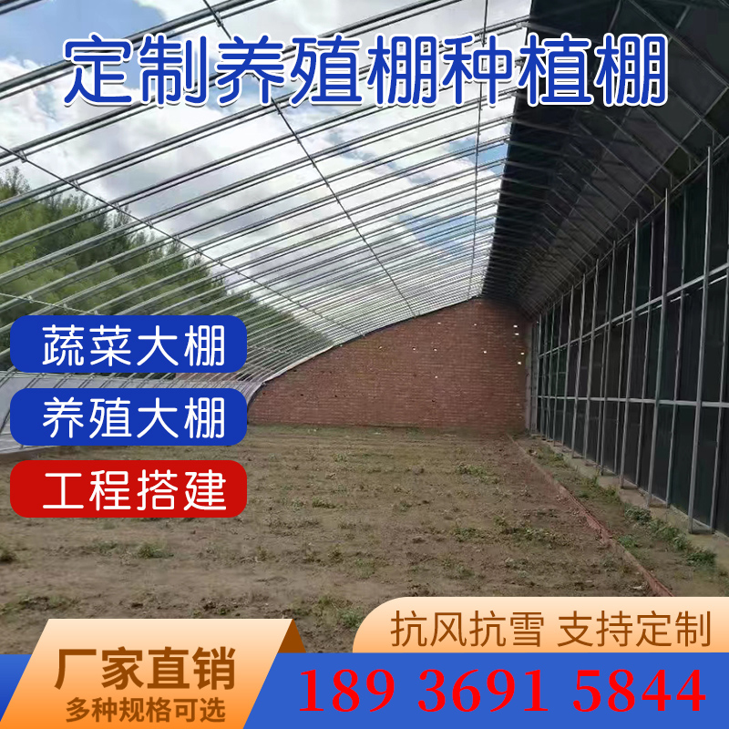 大棚骨架钢管全套蔬菜种植养殖猪牛鸡椭圆管半坡暖棚保温钢架连栋 - 图0