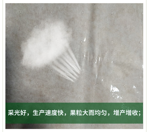 葡萄套袋火龙果莲雾石榴荔枝专用套袋日光袋育果袋保鲜袋 - 图1