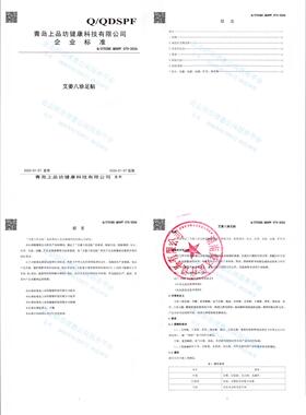 九芝堂艾姜八珍足贴10贴盒