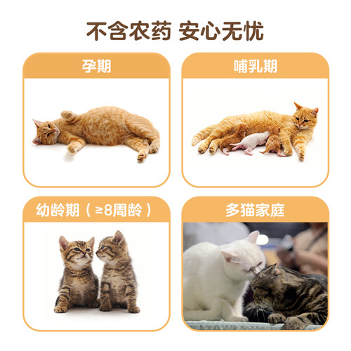 【自营】【大宠爱】猫驱虫药猫咪体内外同驱幼猫小狗除耳螨跳蚤-图2