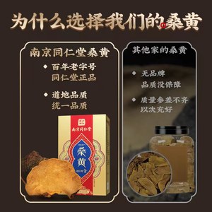 南京同仁堂45+野生正宗西藏林芝波密桑树桑黄正品泡酒药材非灵芝