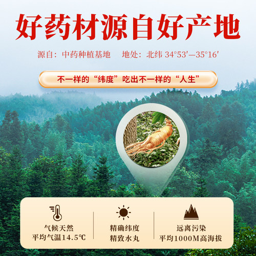 参苓白术散丸健脾祛湿益气中药健脾胃虚弱湿气重肝火盛官方旗舰店 - 图2