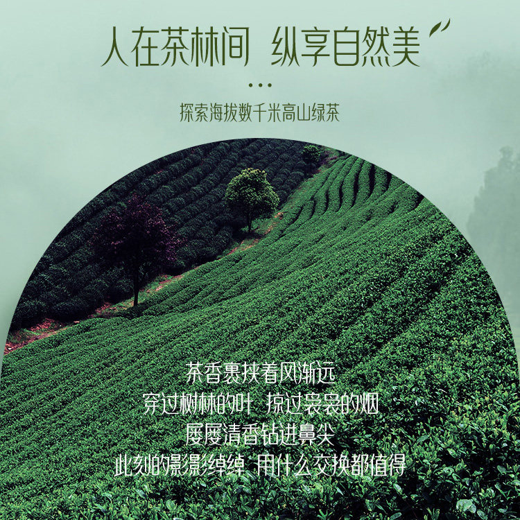  阿里健康大药房洁面