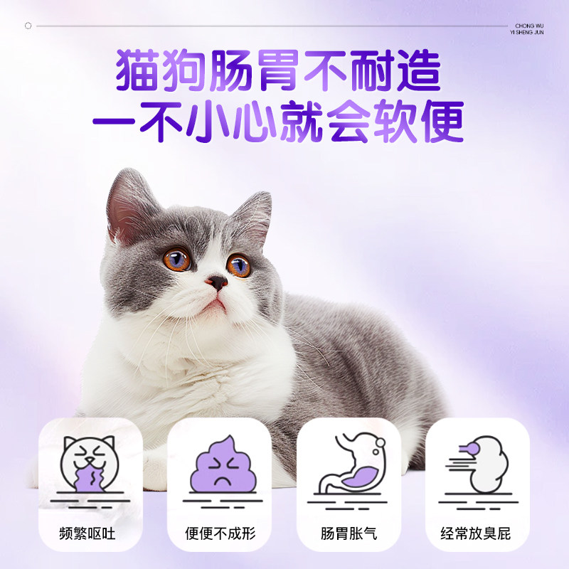 修正布拉迪猫咪狗益生菌调理肠胃软便拉稀呕吐宠物专用官方旗舰店,淘宝优惠券,粉丝福利购,淘宝优惠卷
