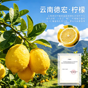 同仁堂柠檬片泡水喝香水冻干柠檬片干冷泡茶正品旗舰店独立包装
