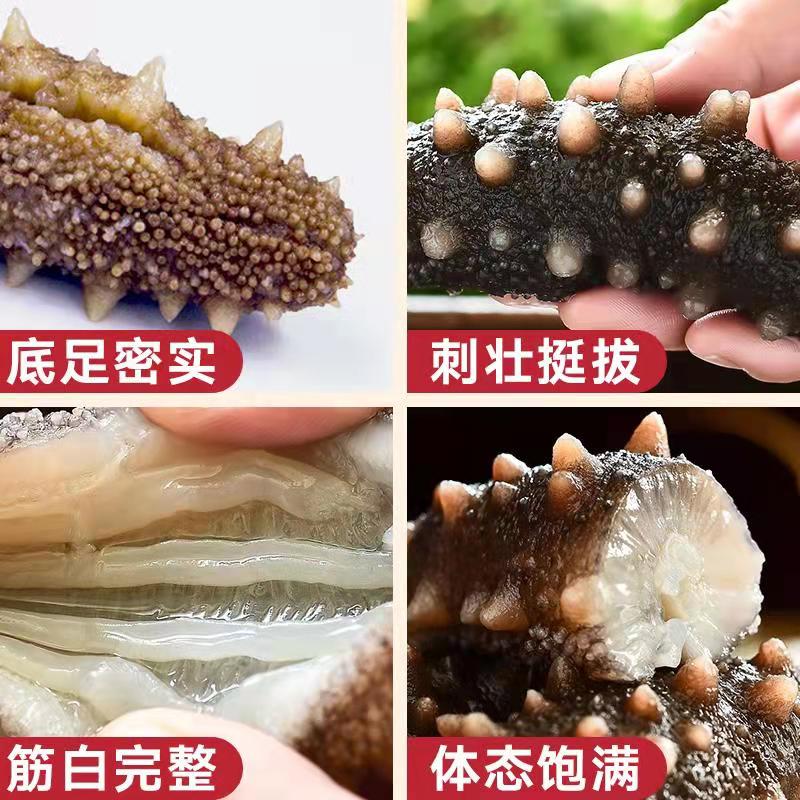 阿里健康大药房北京同仁堂净制干海参大连海域非野生即食辽参刺参干货100g礼盒装1