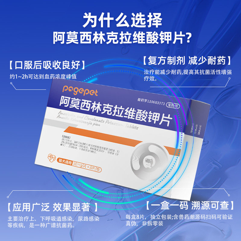 阿莫西林克拉维酸钾猫咪宠物狗狗打喷嚏感冒咳嗽速诺消炎片猫鼻支,淘宝优惠券,粉丝福利购,淘宝优惠卷