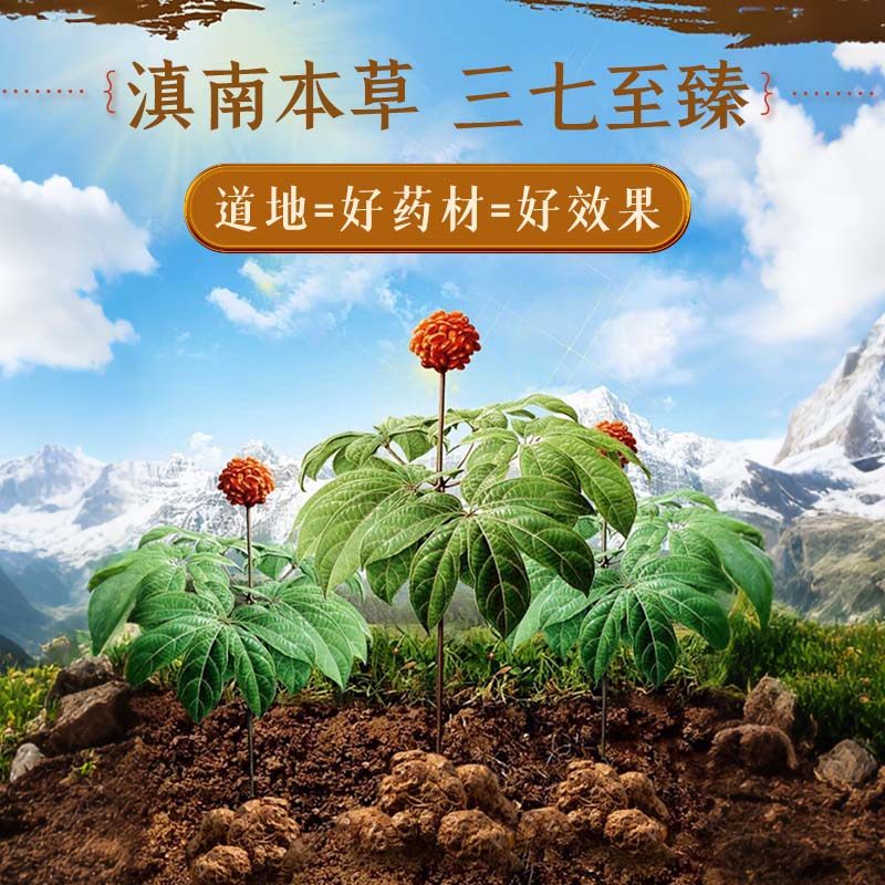 康美药业云南文山三七粉3*30袋 田七粉三七头打粉三七皂苷,淘宝优惠券,粉丝福利购,淘宝优惠卷