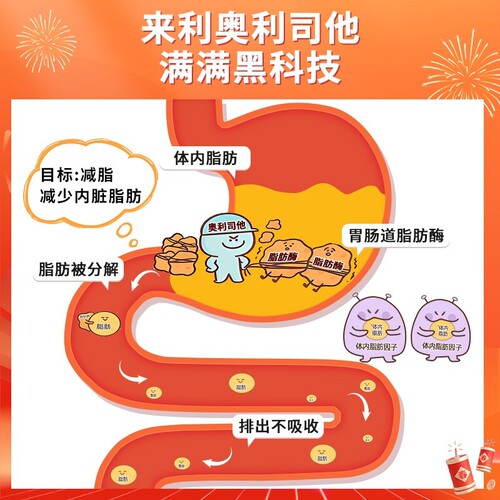 来利奥利司胶囊减肥减脂药正品瘦身燃脂排油瘦身丸瘦肚子官方旗舰 - 图2