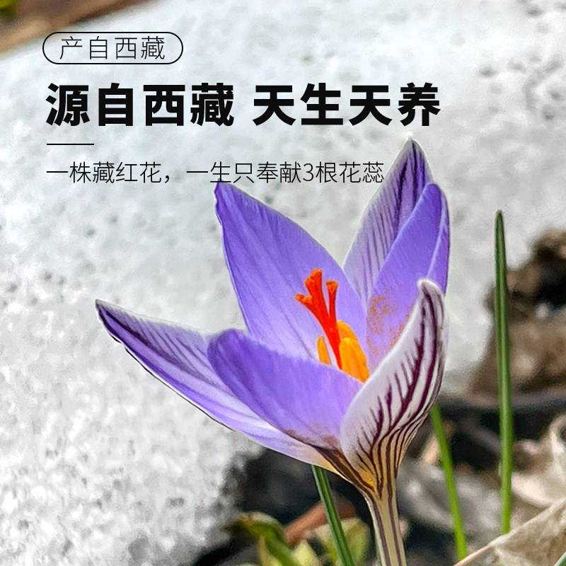 藏红花正品特级西藏泡水喝西红花长丝臧红花药材官方旗舰店中,淘宝优惠券,粉丝福利购,淘宝优惠卷