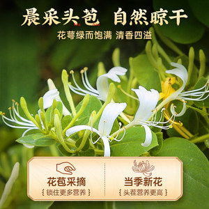 南京同仁堂金银花茶正品官方旗舰店菊花野生特级非中薬材泡水凉茶