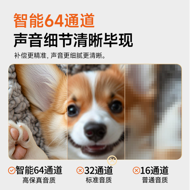 Future guest ear-clip type 64-channel hearing aid