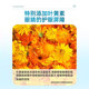 Li Shizhen's lutein eye patch relieves eye fatigue