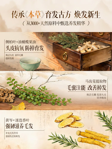 侧柏叶防育发液脱生育发增固头皮精华液发草本养发液滚珠旗舰店 - 图1