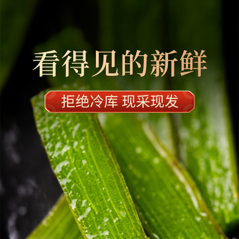 阿里健康大药房正品霍山原产新鲜铁皮石斛鲜条新鲜枫斗干条产地直发养生石斛鲜条2