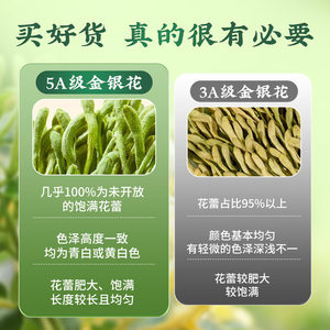 北京同仁堂金银花菊花茶干货去火清毒解热平邑正品官方旗舰店泡水