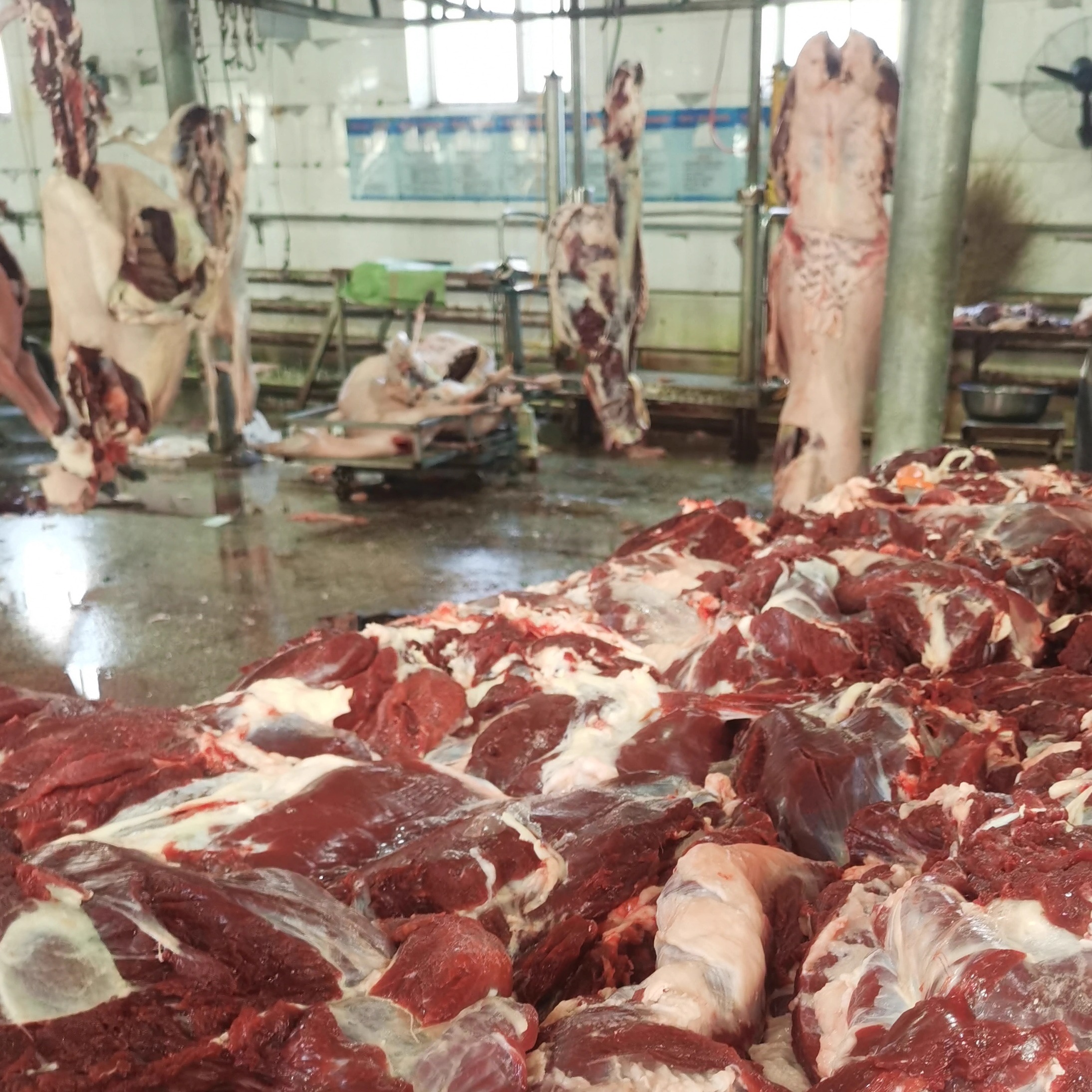 新鲜鹿肉少油5斤顺丰包邮吉林梅花鹿腿肉冷冻生鲜鹿肉送礼-图3