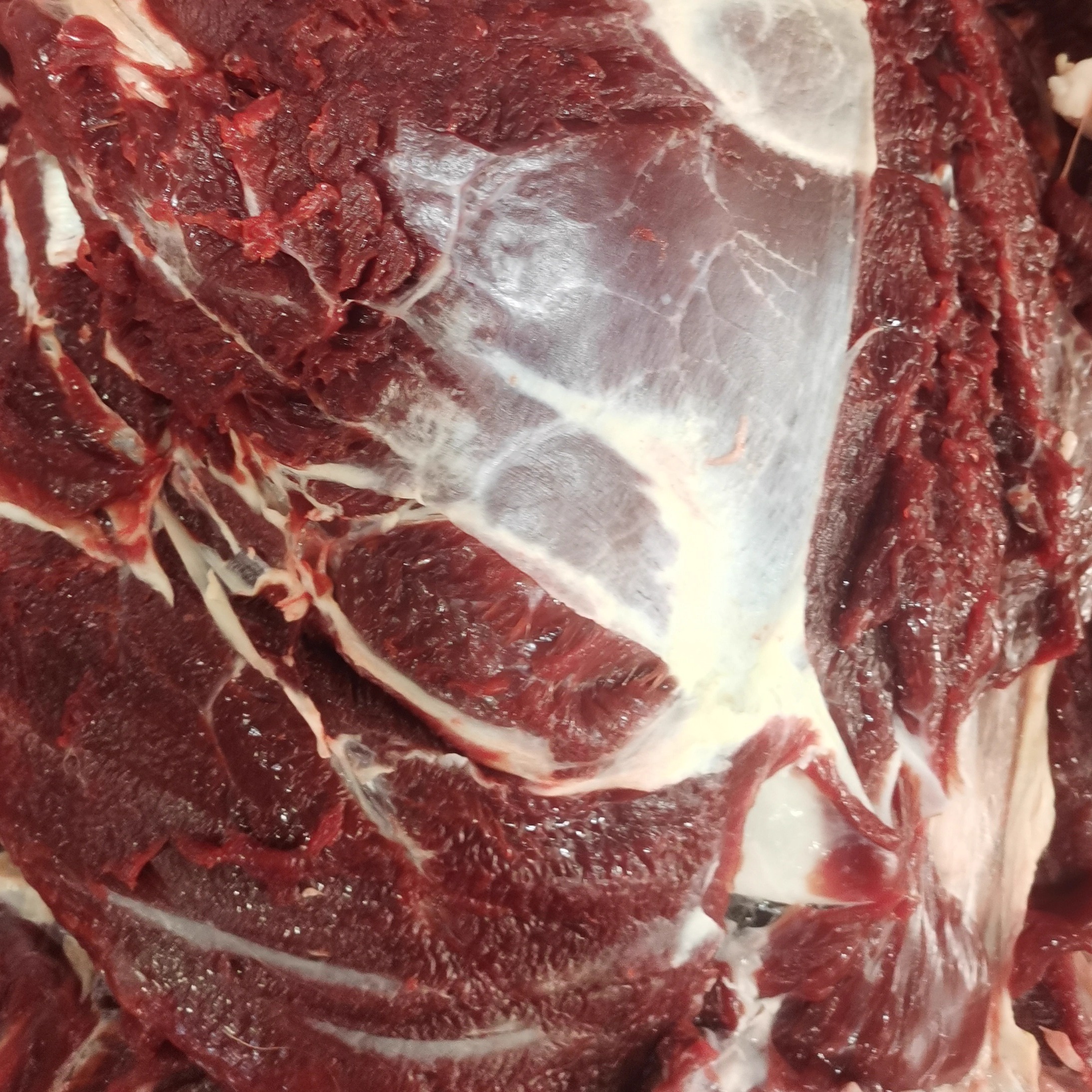 新鲜鹿肉少油5斤顺丰包邮吉林梅花鹿腿肉冷冻生鲜鹿肉送礼-图0
