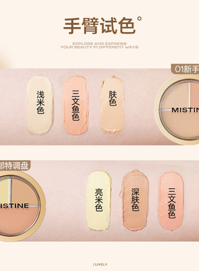 Mistine蜜丝婷三色遮瑕膏