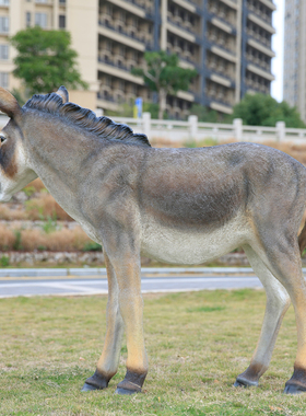 仿真毛驴摆件玻璃钢雕塑