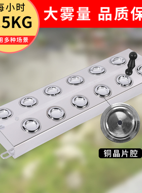 加湿器不锈钢喷雾造雾器造景雾化