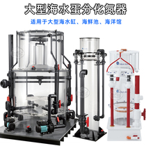 Large Egg Sub Seafood Shrimp Aquiculture Chemical Nitrogen Instrumental Seawater Nursery Marine Aquarium Engineering Protein Separator