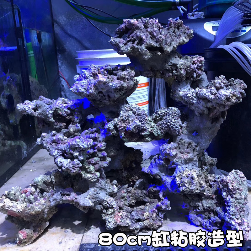 海缸活石海水活石高钙开缸爆藻造景活石海水鱼缸珊瑚礁石造景石头 - 图1