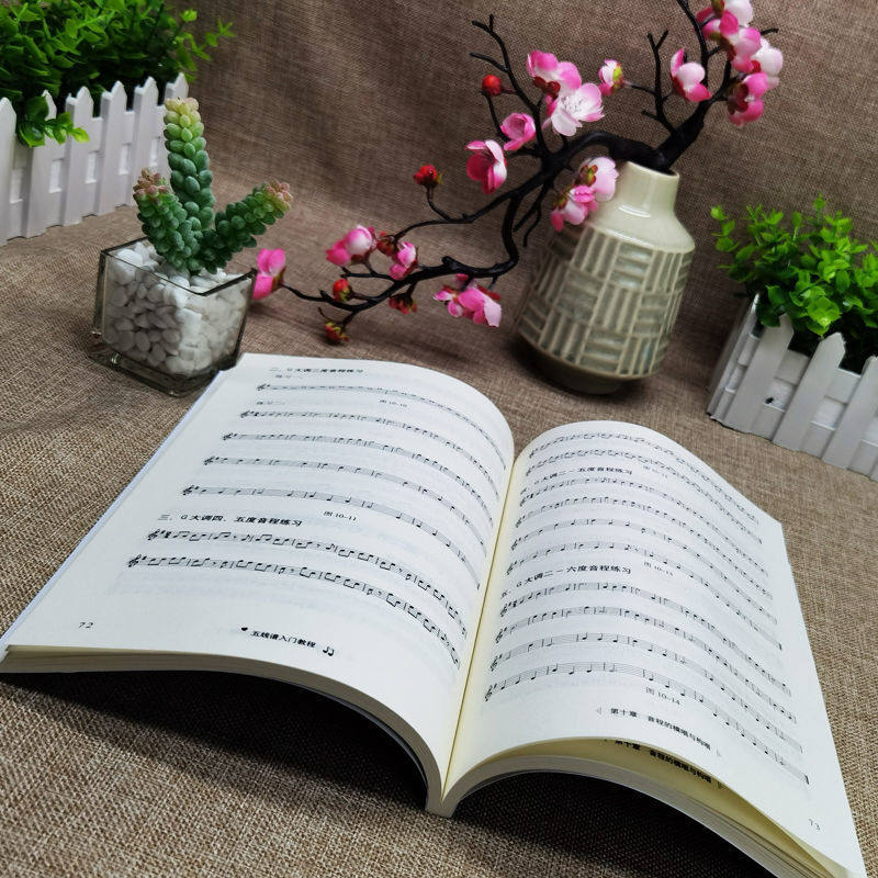 正版 五线谱入门基础教程 初学者零基础学吉他钢琴的书 音乐书籍自学 从零起步五线谱基础 简单学音符乐理基础知识书籍,淘宝优惠券,粉丝福利购,淘宝优惠卷